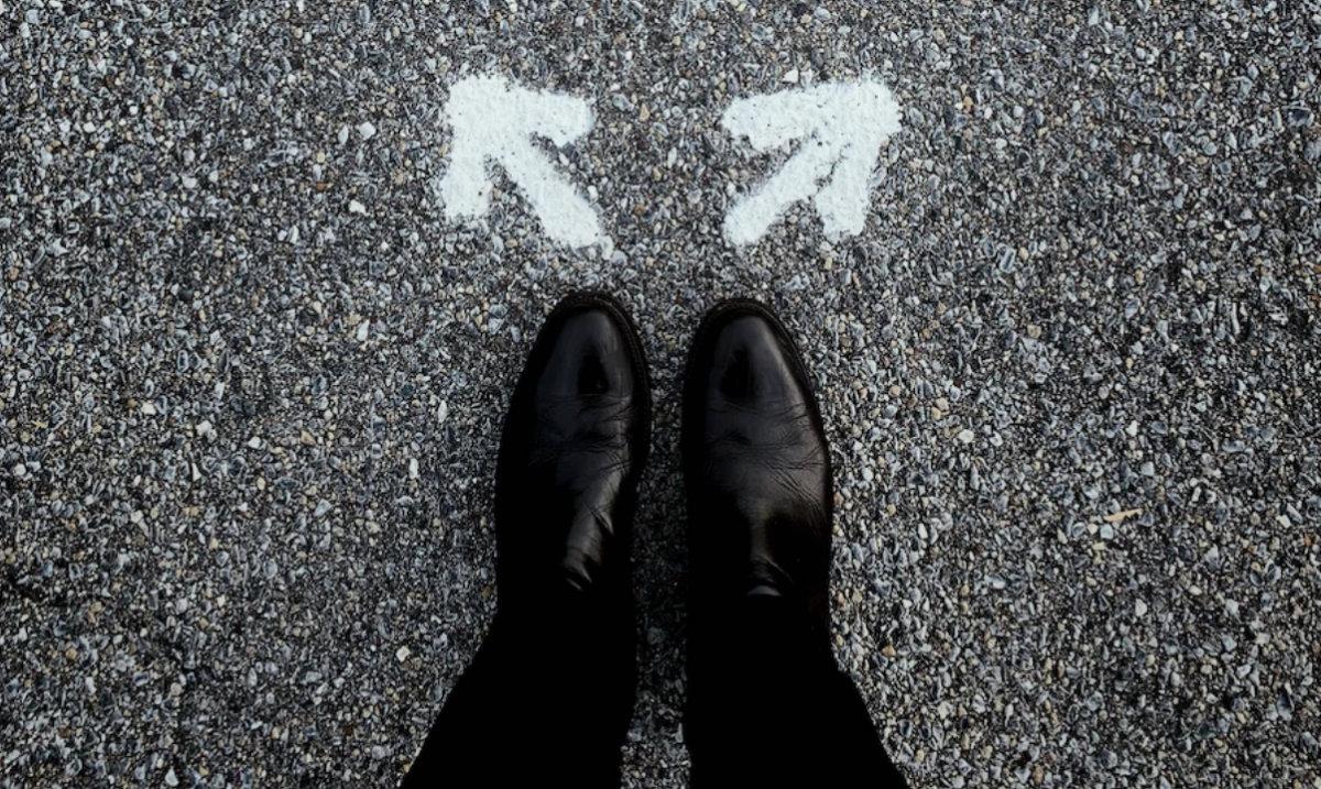 I Am Confused About My Career: Navigating The Crossroads