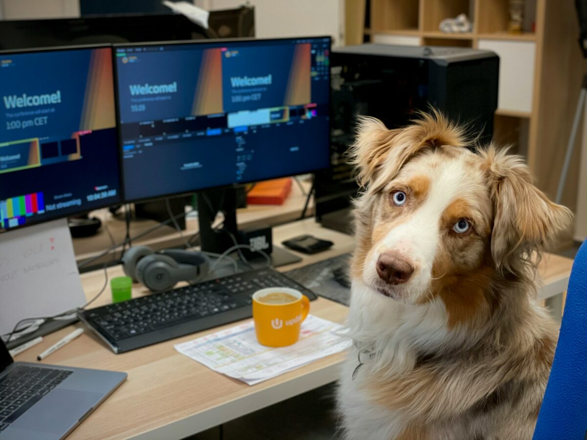 Office Dogs: Should You Allow Employees To Bring Their Dogs Into The Office?